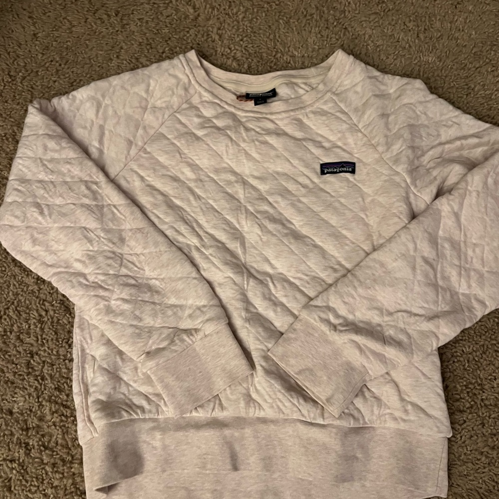 Patagonia organic sweat shirt S